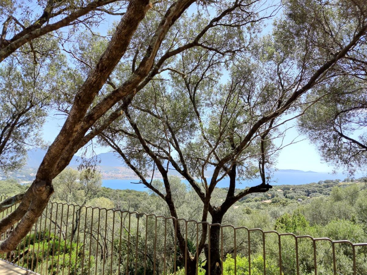 Residence Licciola Propriano  Luaran gambar